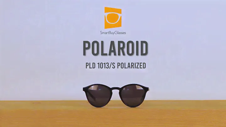 Polaroid PLD 1013/S Polarized Sunglasses Product Review