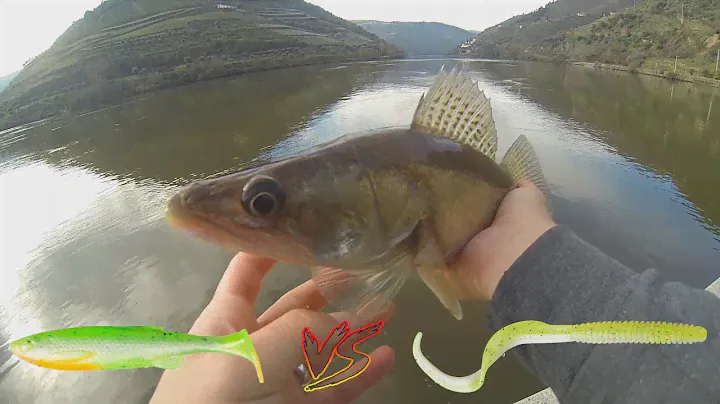 SG Fat Minnow T-Tail vs SG RibWorms: Qual preferem / Which prefer ?
