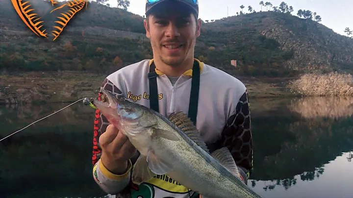 Ataque de lucioperca | Zander Strike | Fat Minnow T-Tail