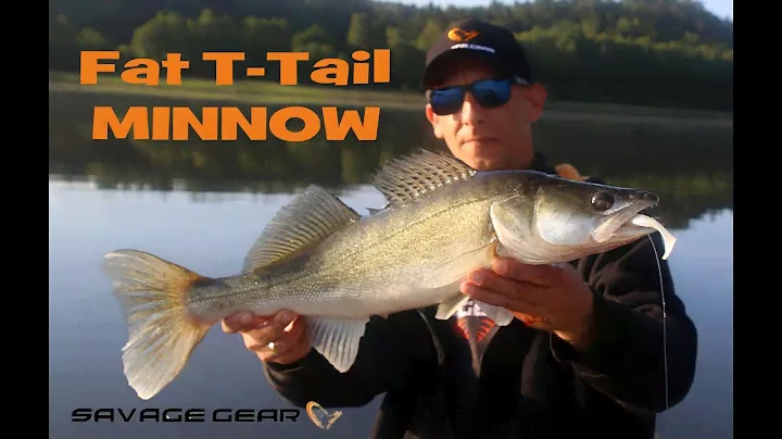 Jakie gumy wybrać na sandacze? Fat T-Tail Minnow.