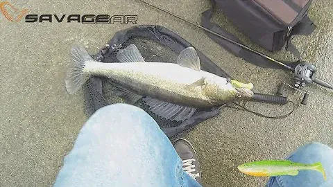 Pesca Flash Que Compensou | SG Fat Minnow T-Tail