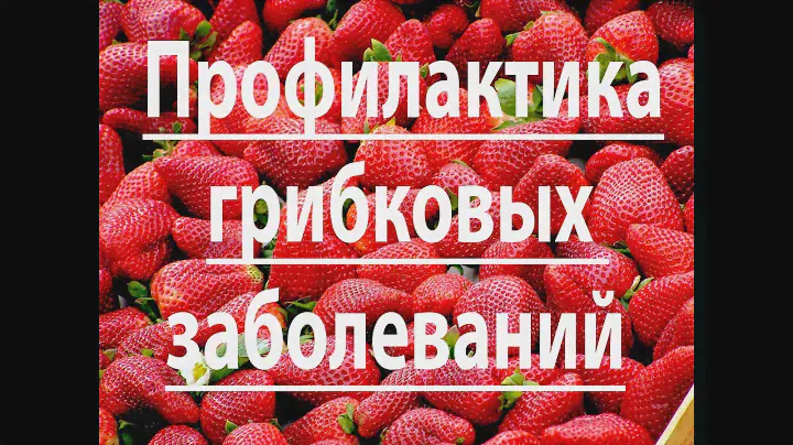 Профилактика грибковых заболеваний.