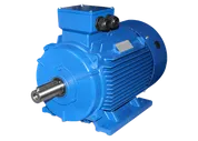 RA 200LB-2 IM1081(B3) лапы - электродвигатель 37 кВт 2950 об/мин DIN EN 50347 Элдин