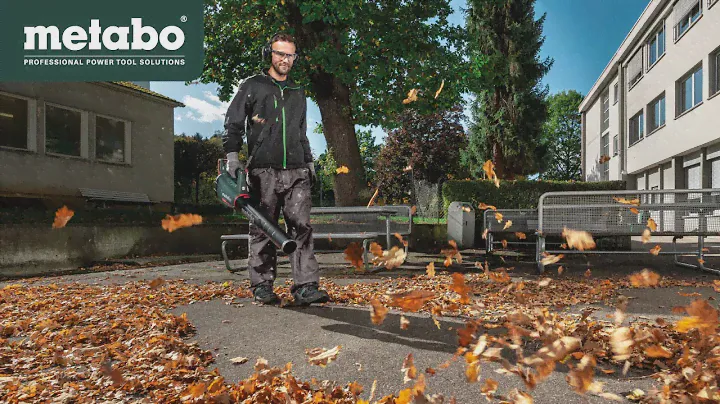 Metabo Аккумуляторная садовая воздуходувка LB 18 LTX BL